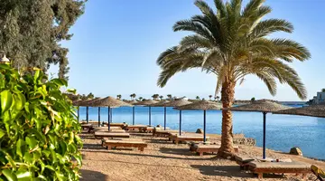 Sultan Bey El Gouna