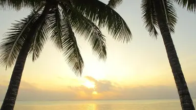 SULTAN SANDS ISLAND ZANZIBAR