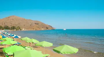Summer Beach