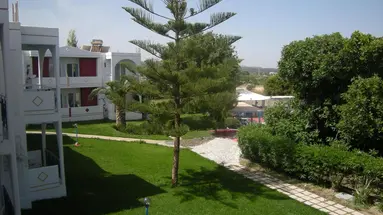 Summer Dream Hotel