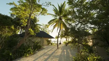 Summer Island