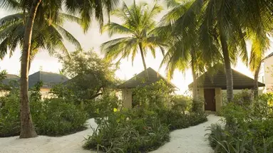 Summer Island