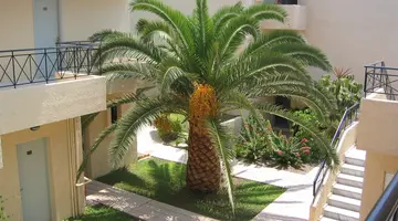 SUMMERLAND HOTEL