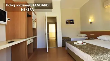 SUN CITY APART