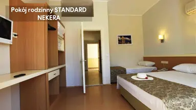 SUN CITY APART