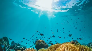 SUN SIYAM IRU FUSHI
