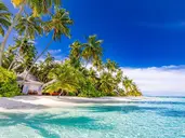 Sun Siyam Vilu Reef