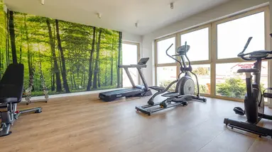Sun & Snow Apartamenty GEA ECO