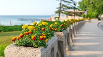 Sunny Day Palace