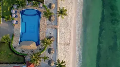 Sunny Palms Beach Bungalows