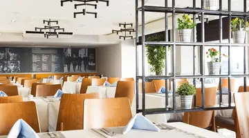 SUNPRIME C-LOUNGE ADULT ONLY
