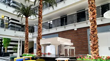 Sunprime C-Lounge