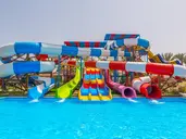 Sunrise Aqua Joy