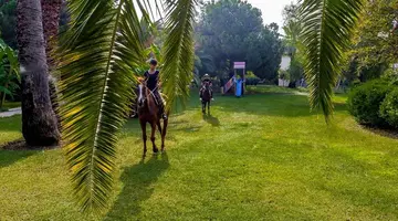 Sunrise Resort Hotel