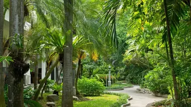 SUNSHINE GARDEN RESORT