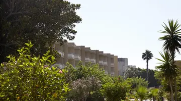 Sunshine Rhodes