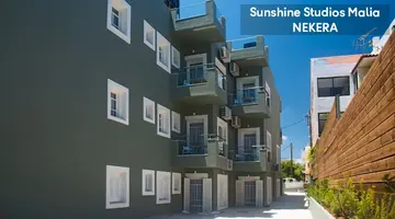 Sunshine Stds Malia