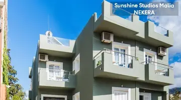 Sunshine Stds Malia