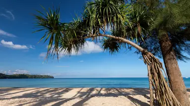 SUNWING BANGTAO BEACH