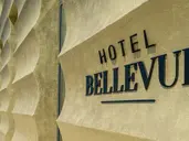 Superior City Hotel Bellevue