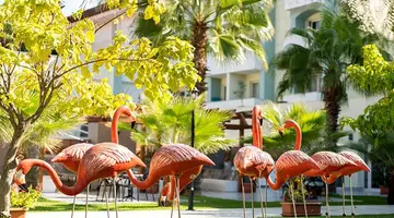 SURAL RESORT