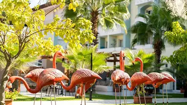 SURAL RESORT