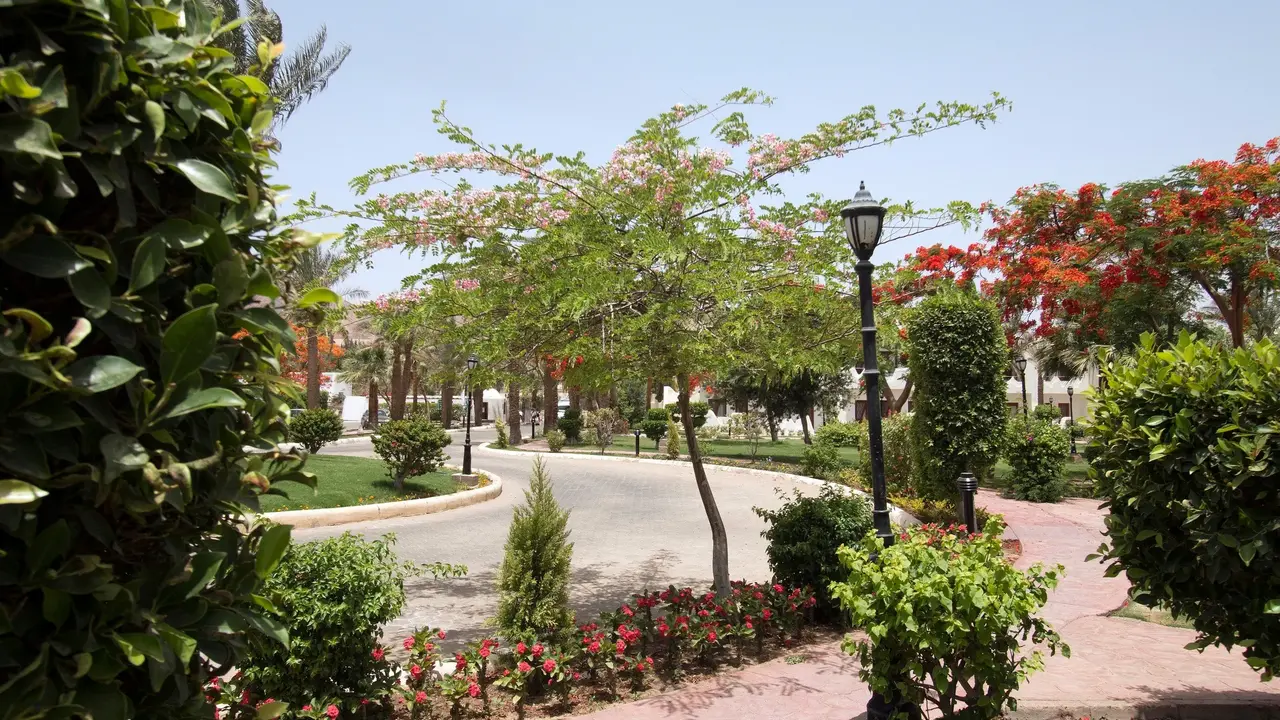 Swiss Inn Resort Dahab