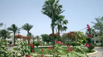 Swiss Inn Resort Dahab