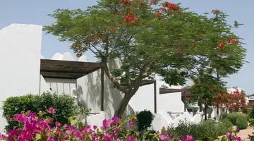 Swiss Inn Resort Dahab