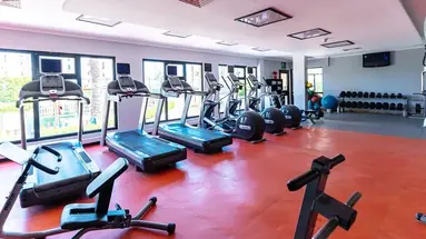 SWISS INN RESORT