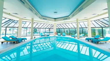 SWISS INN RESORT
