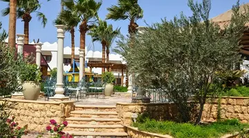 Swiss Inn Resort