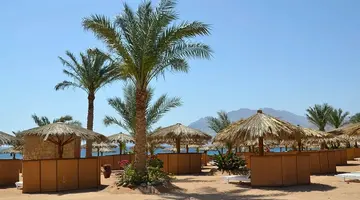 Swiss Inn Resort