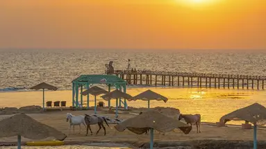 Swissotel Resort El Quseir (Ex. Radisson Blu Qusser)