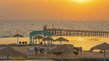 Swissotel Resort El Quseir (Ex. Radisson Blu Qusser)