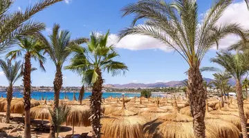 Swissotel Sharm El Sheikh Managed By Rix
