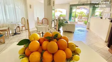 SYLESIA HOTEL