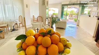 SYLESIA HOTEL