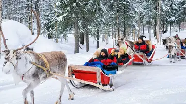 Sylwester w Laponii