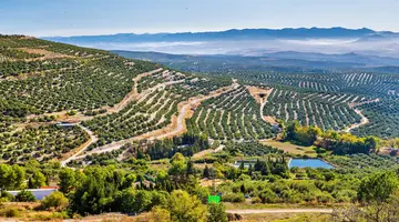 Szlaki andaluzyjskiego interioru