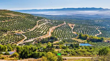 Szlaki andaluzyjskiego interioru
