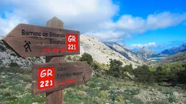 Szlakiem Suchego Kamienia