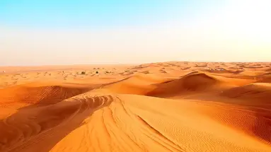 Sztuka targowania- Arabia Saudyjska i Bahrajn