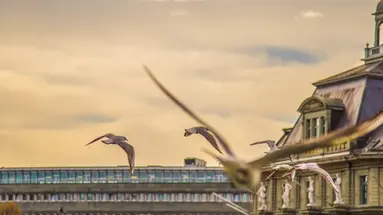 Szwajcaria express - Zurich i Lucerna