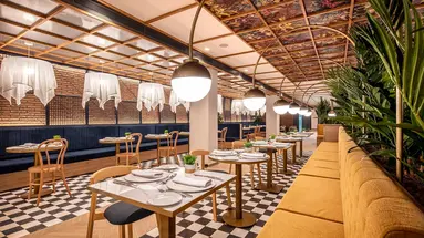 Tabaiba Princess