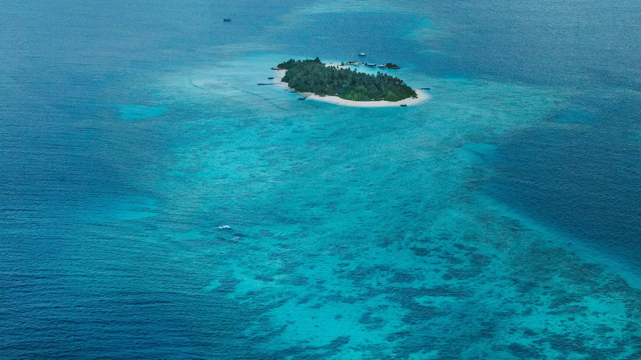 Taj Coral Reef Resort & Spa