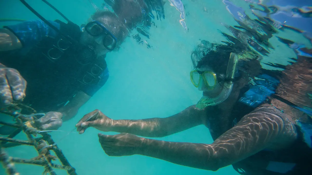 Taj Coral Reef Resort & Spa