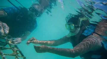 Taj Coral Reef Resort & Spa