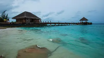 Taj Coral Reef Resort & Spa