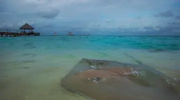 Taj Coral Reef Resort & Spa